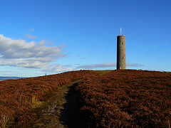 Picture of Scolty Hill (Nick Bramhall)